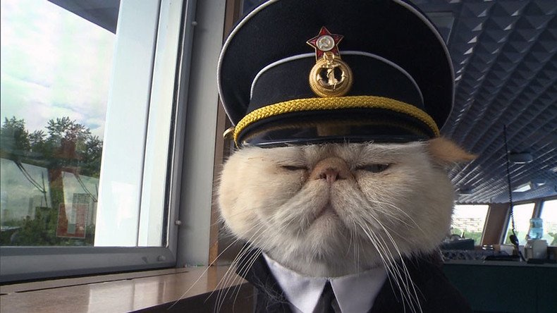 ProPetware's tweet photo. Ahoy mateys! This furry sailor is the newest crew member of a cruise in Russia #seapaws https://t.co/LTgrdPQVnD https://t.co/KD3FWeshlC