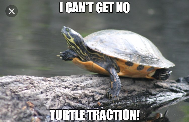 TweetingTurtle5's tweet photo. can't get no satisfaction #ThursdayThoughts #GettingOldIn4Words @RollingStones https://t.co/e6ARnHJ5Vn
