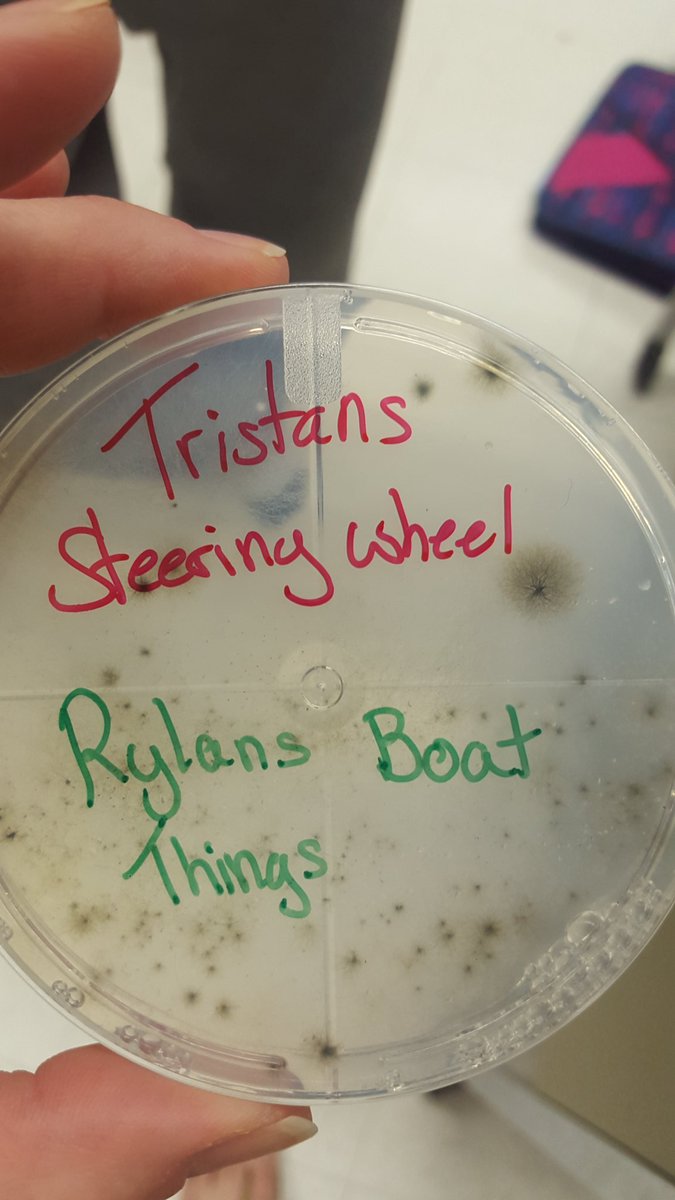 KarielleW's tweet photo. @DavidsonRaiders After a long wait- results r in on the culture swabs! #DSHS20 #YeastMoldBacteria #analyzingcolonies https://t.co/2nYCD4YsVL