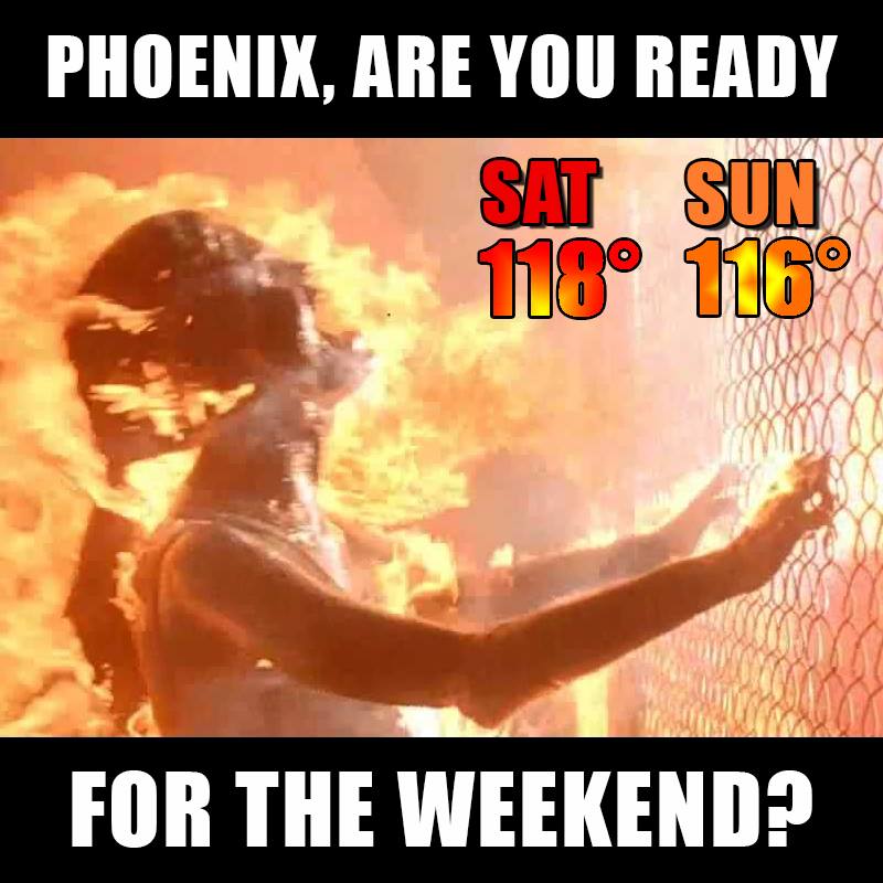 FOX10Phoenix's tweet photo. Just... stop. https://t.co/ZElHsXIHY1 https://t.co/jUYRBfKLa7