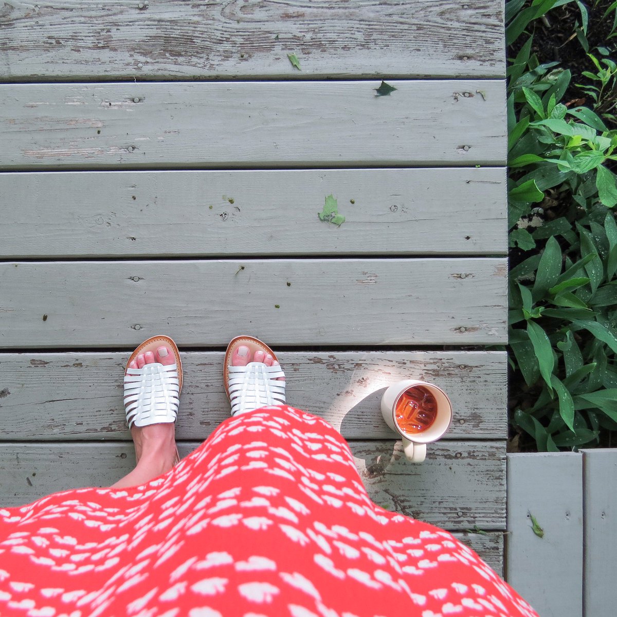 Wild Terrains tweet media