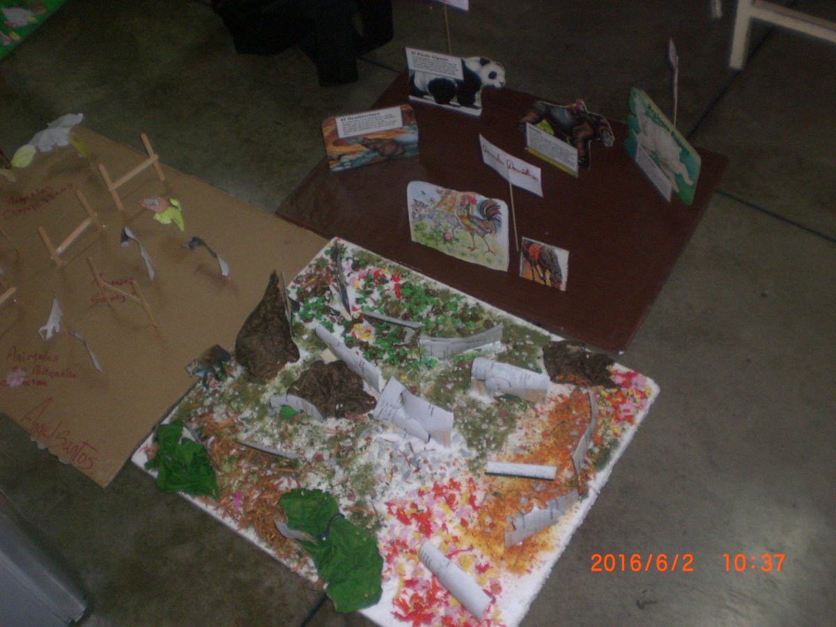C_SanJuanBautis's tweet photo. #MaquetasdeLosAnimales @MunicipioSC @SilvaEleazarL @SaIaTachira @PrensaZETachira @PDESanCristobal @AVECSanCristbal https://t.co/tQhAcmp7G1