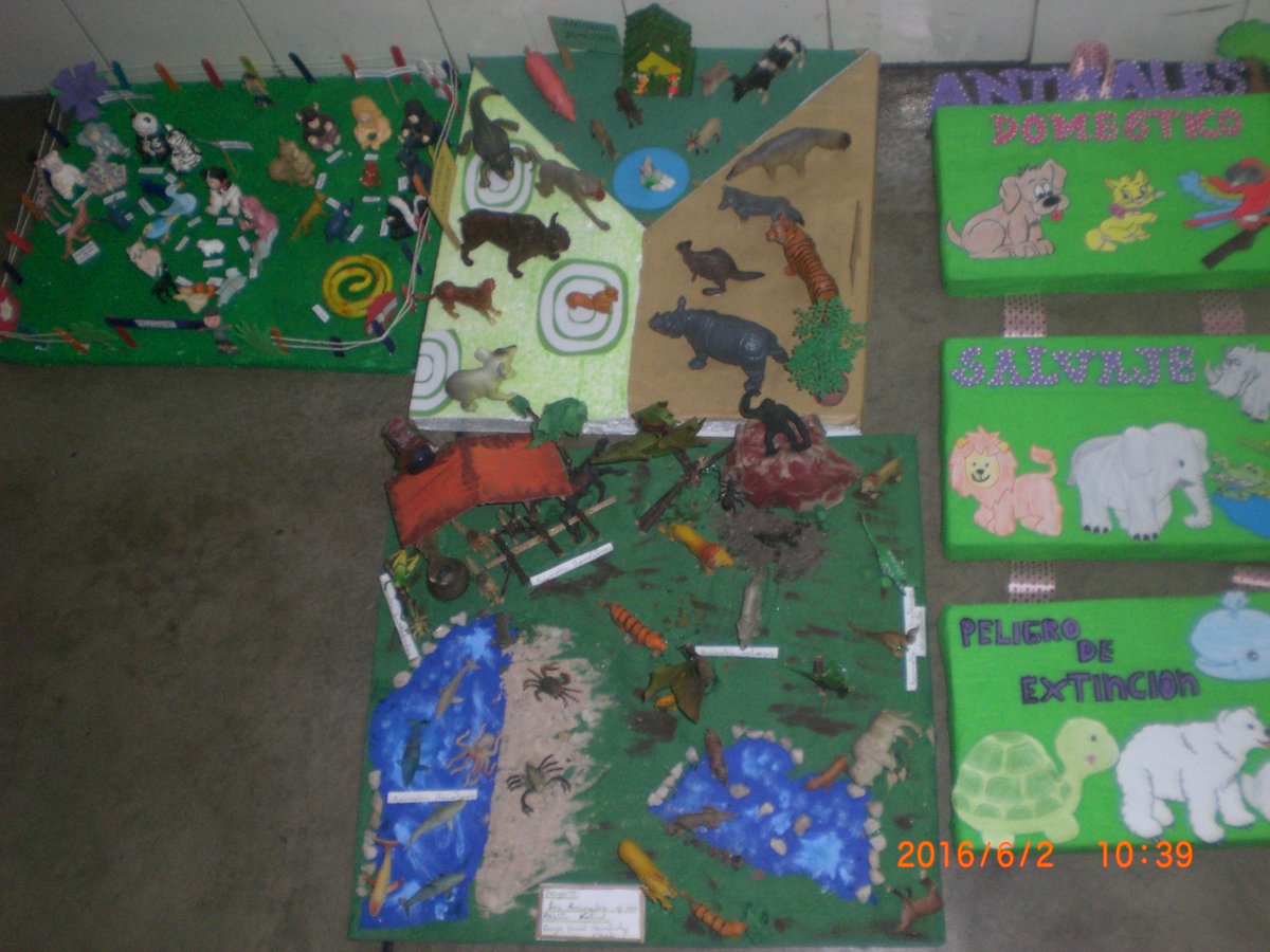 C_SanJuanBautis's tweet photo. #MaquetasdeLosAnimales @MunicipioSC @SilvaEleazarL @SaIaTachira @PrensaZETachira @PDESanCristobal @AVECSanCristbal https://t.co/nGL0Rbljjl