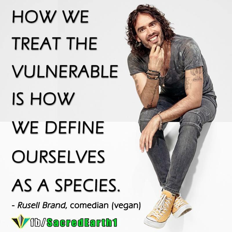 vgenerationx's tweet image. @GraciasMadre @CafeGratitudeLA Don&apos;t think @rustyrockets would approve of vegan restauranteurs eating their cows