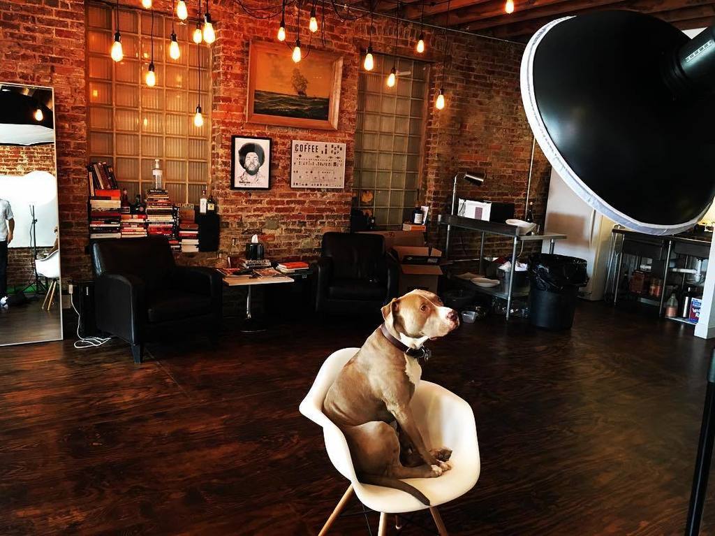 WithNotFor's tweet image. Testing our new beauty dish on mittens