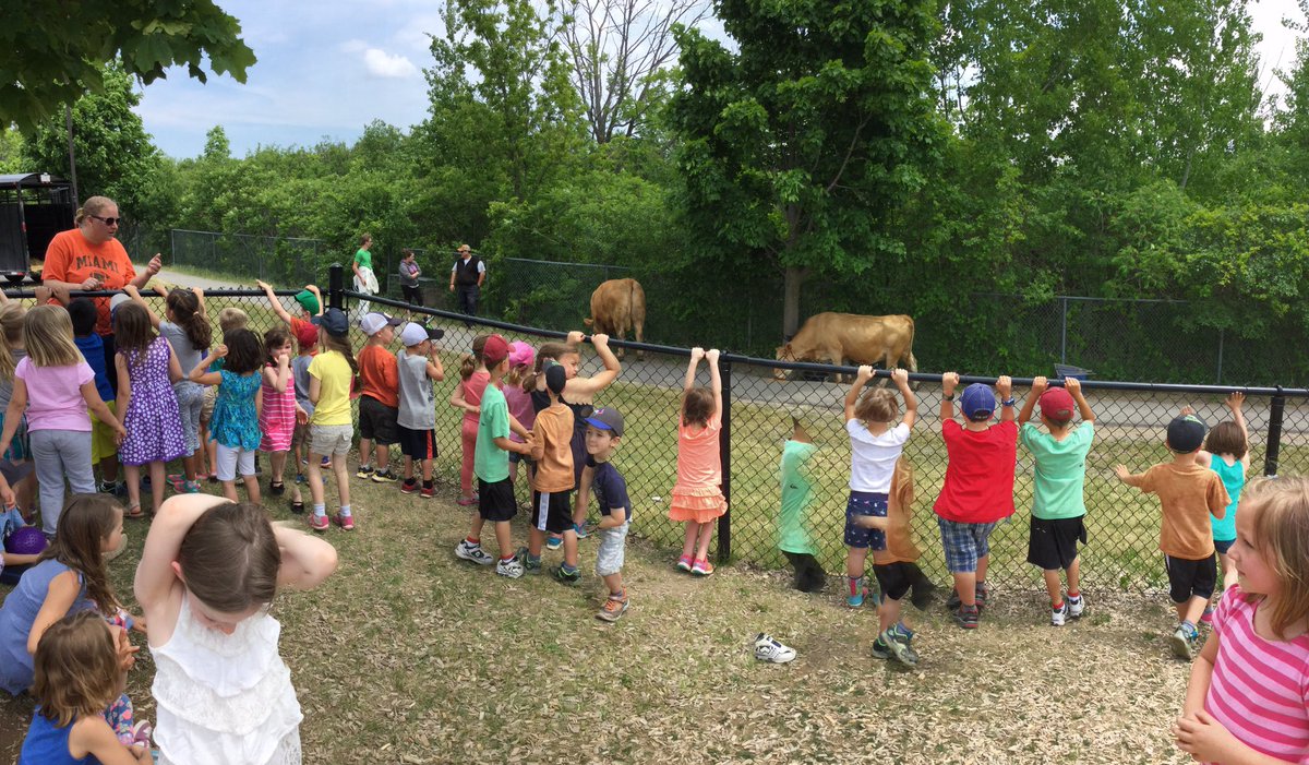 bigredroomstcat's tweet photo. We had some visitors in our school yard this afternoon to keep the kiddies busy at recess!! 🐓🐖🐄#PVNCey https://t.co/3nzYtGbZqa