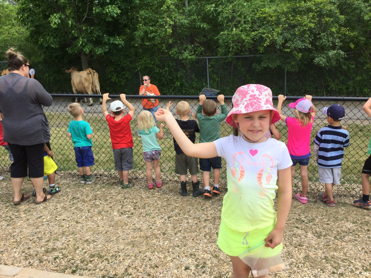 bigredroomstcat's tweet photo. We had some visitors in our school yard this afternoon to keep the kiddies busy at recess!! 🐓🐖🐄#PVNCey https://t.co/3nzYtGbZqa