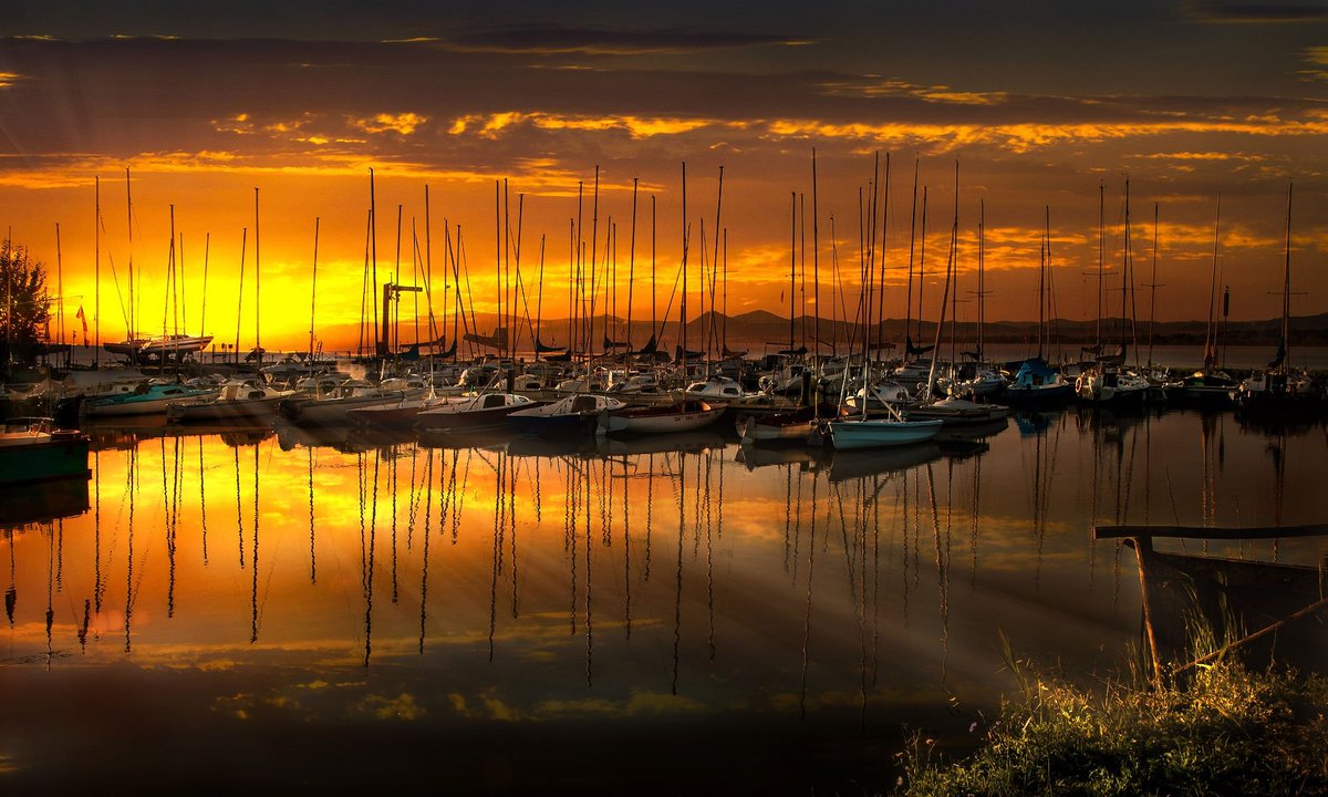 Photography Umbria tweet media