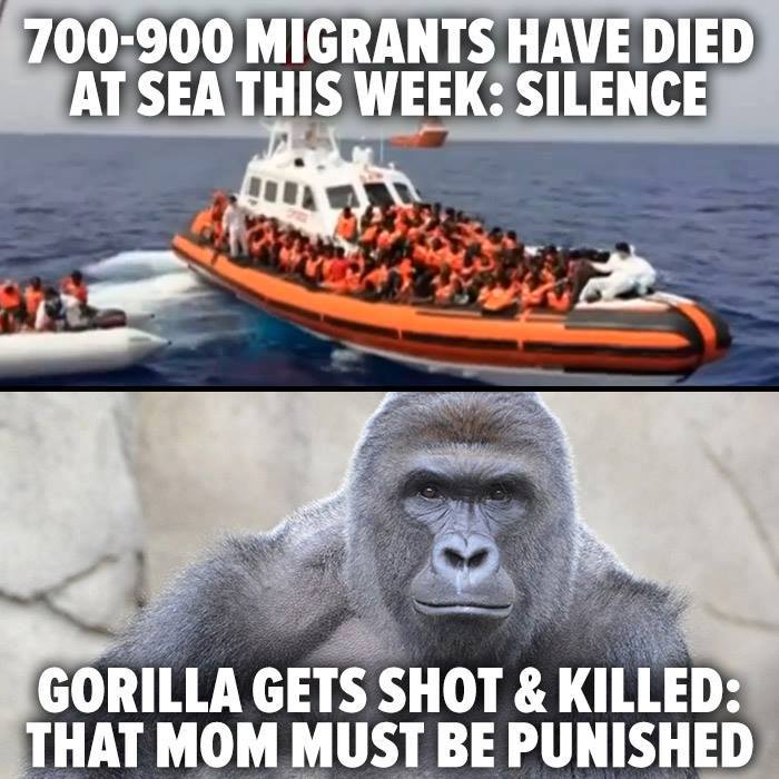 _MindFeed's tweet image. 