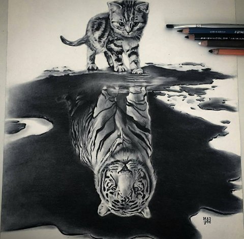 #kitty #cat #Great #Tiger !

#Art makes it #possible, #dream !!