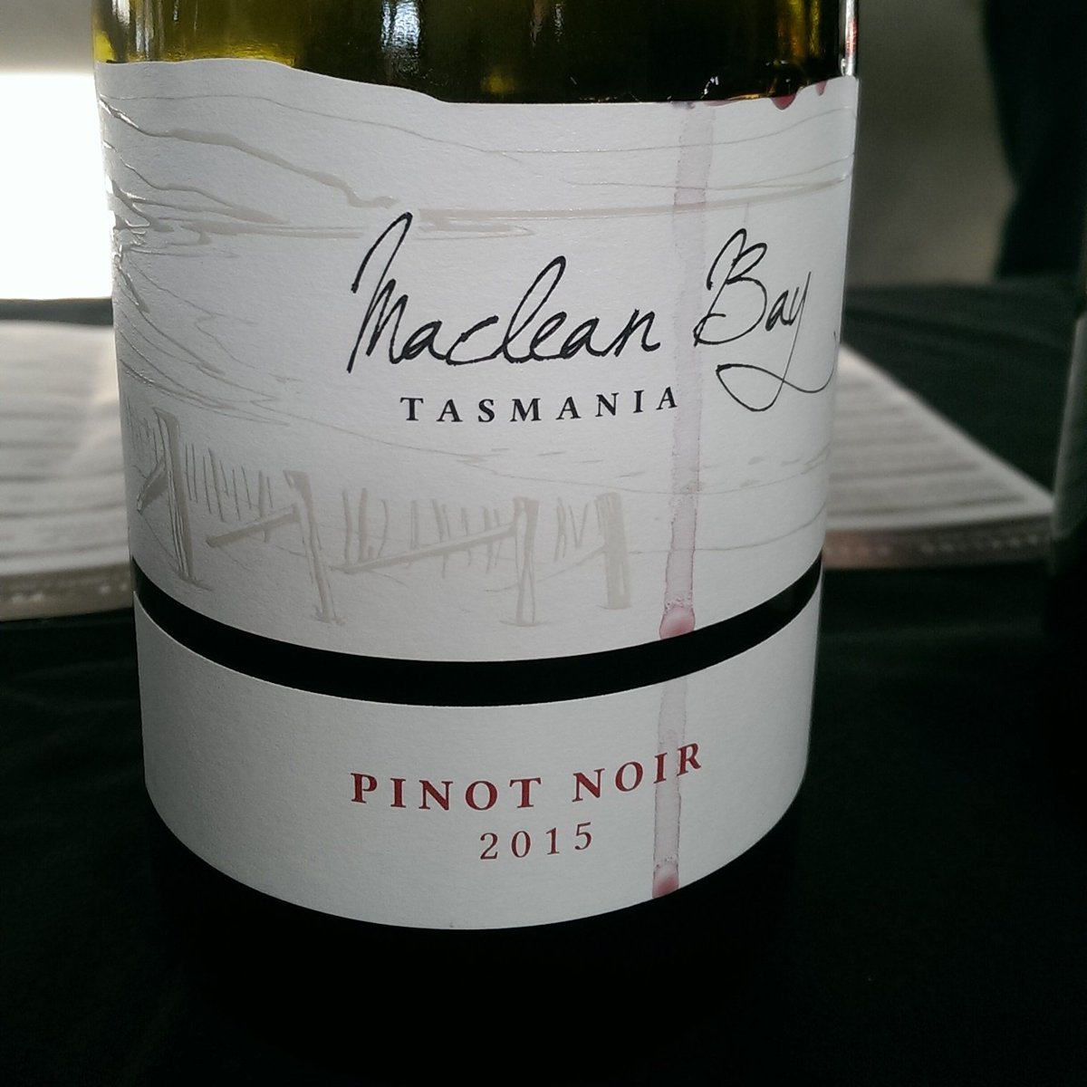ReganDrew's tweet photo. @MacleanBay hope the #Tassie crowds are enjoying your Pinot @WineSouthTas #TRWW https://t.co/CfPaARZTDa
