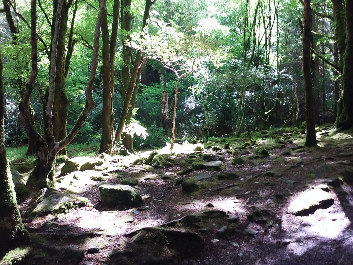 The_Woodbooger's tweet photo. During my hike to #TrailDays this year, this spot was my favorite campsite. #CampLife #SWVA #LairAwayFromTheLair https://t.co/q58rfQKpUU