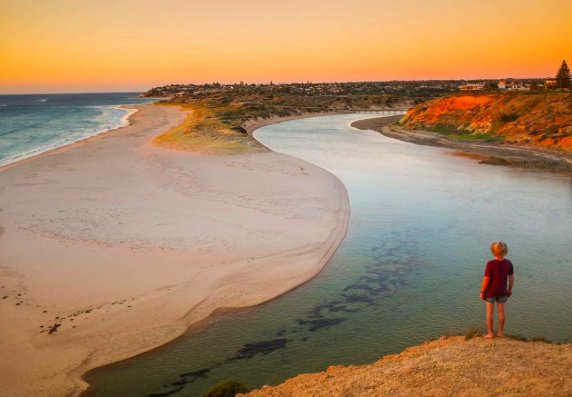 Regional South Aust tweet media
