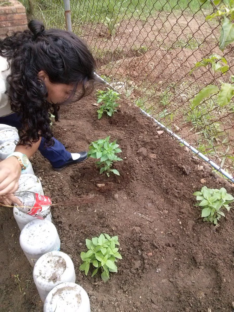 EPTMAICA's tweet photo. @NicolasMaduro @VielmaEsTachira @MPPEDUCACION @PrensaZETachira ORGULLOSOS DE NUERTRO TRABAJO   EPT @LICEOMAICA https://t.co/ieFuZMaMEP