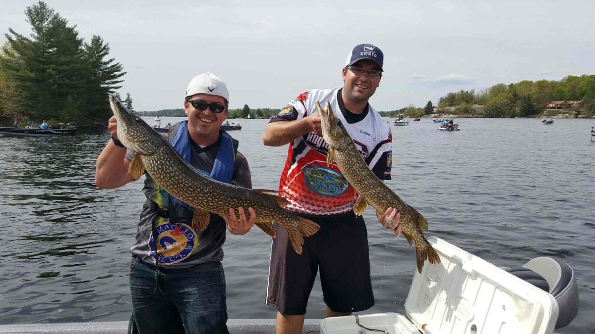 fishwizard13's tweet image. 9th place finish in Muskoka! #muskokabassanglers #springsows