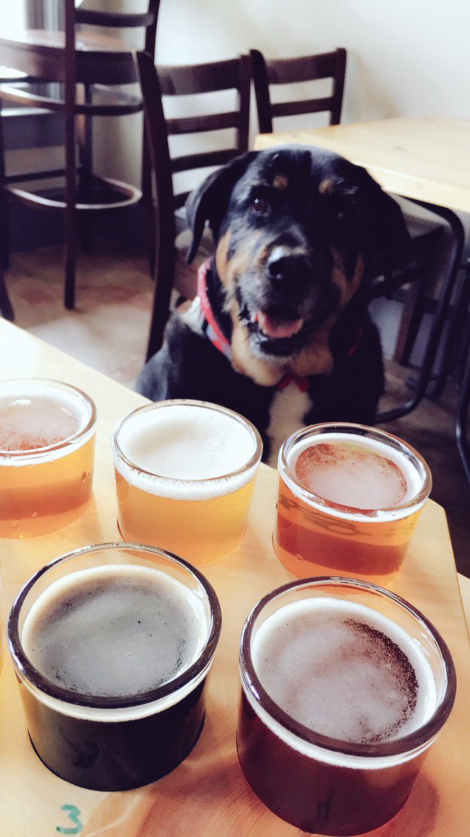 SoundsOfMetric's tweet photo. @somebrewing stop one! #craftME https://t.co/s44lPbhAGN