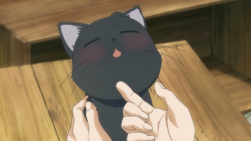 CjAHvbPUYAAwCIl.jpg:large