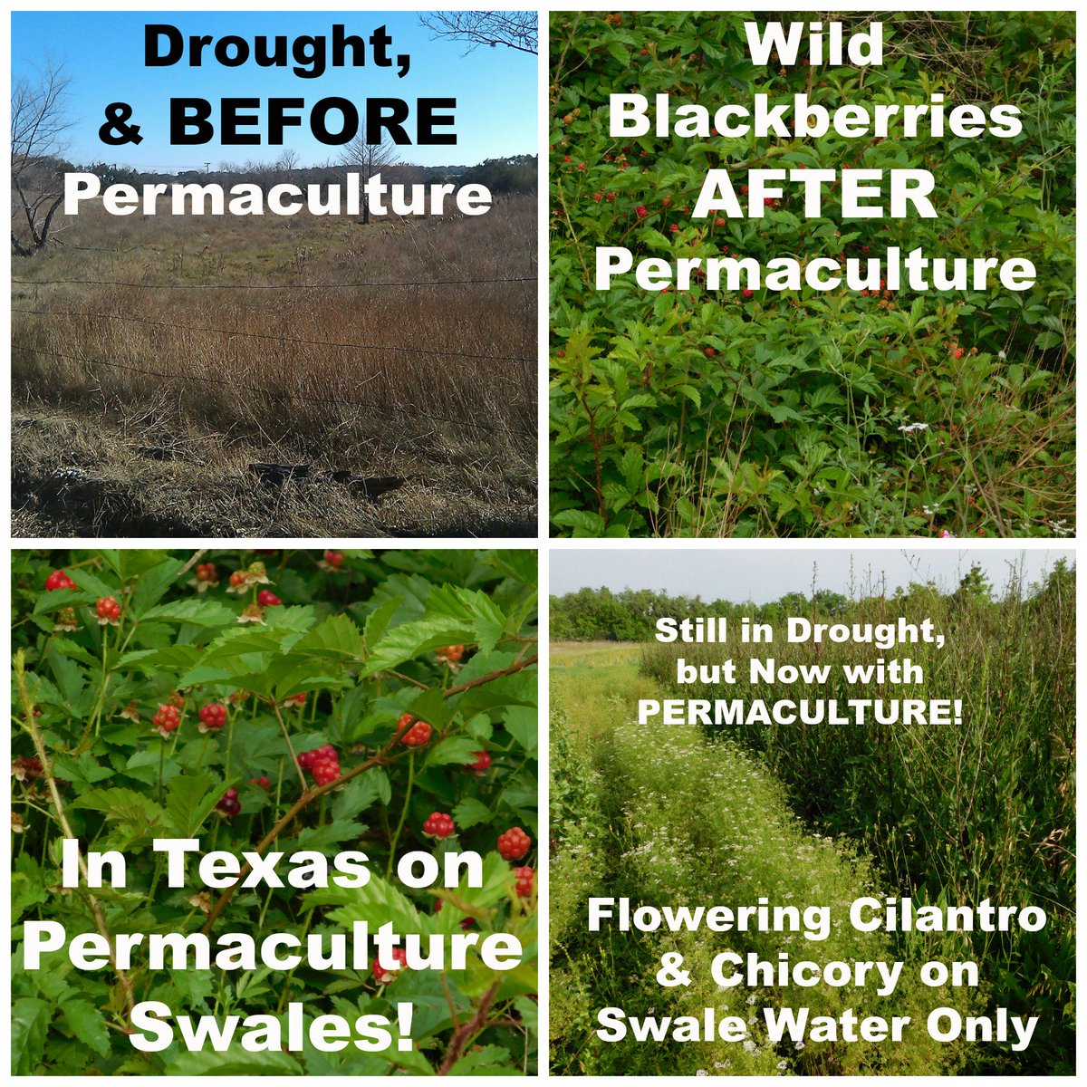 The Possibilities of #Permaculture...  pinterest.com/farmfairycraft…