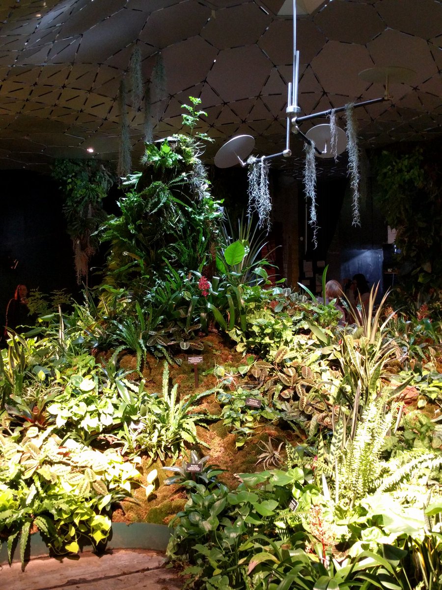 zapnap's tweet image. Saturday at the #lowline lab! Testbed for NYC's underground park project, growing a variety of plants underground