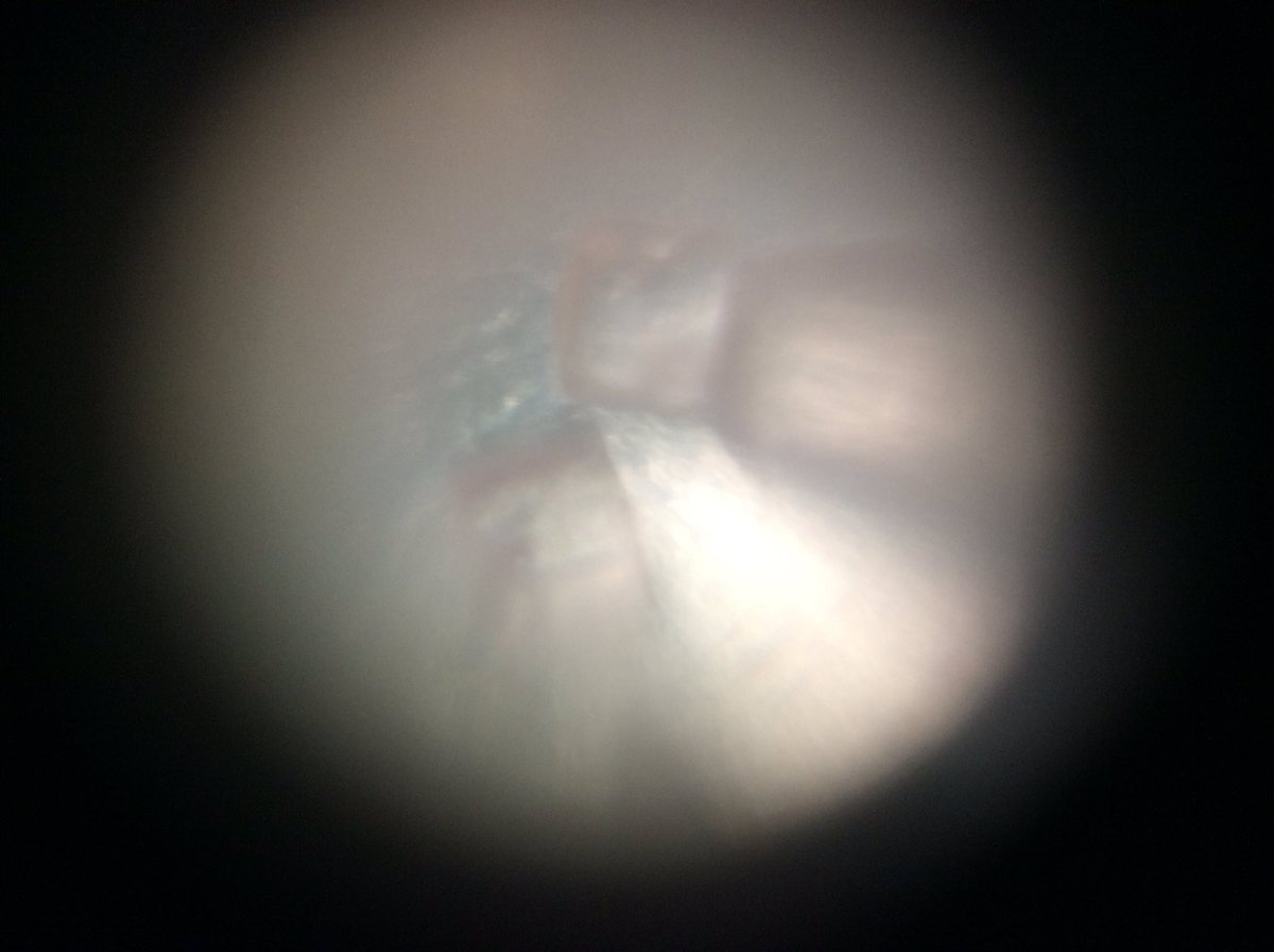 AnthonettePena's tweet photo. Using a smartphone microscope to check out beautiful salt crystals! #microSTEM! https://t.co/FBZoTd2roQ