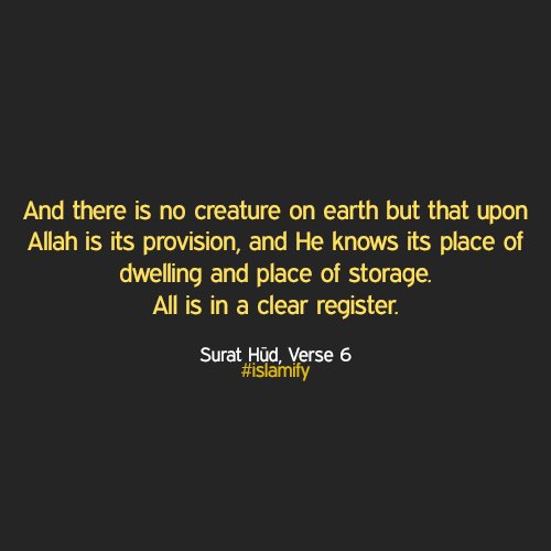 Alhamdhulillaah's tweet image. #MuslimBecause