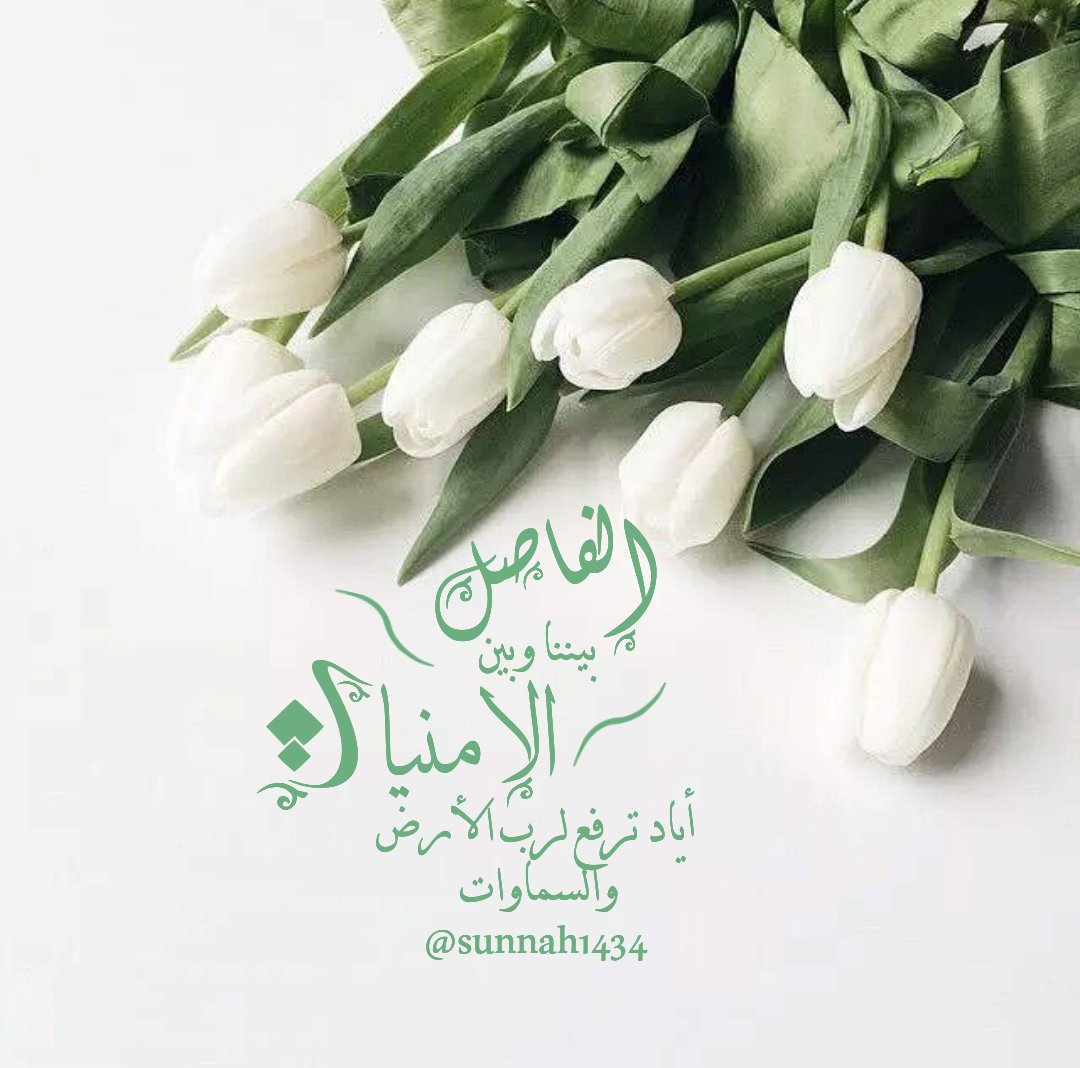 sunnah1434's tweet photo. الفاصل بيننا وبين الأمنيات أياد ترفع لرب الأرض والسماوات
..
...
،،
.
.
،،
،
.
#الثقة_بالله #الضحی #الوتر https://t.co/ZbGe8GcQN3