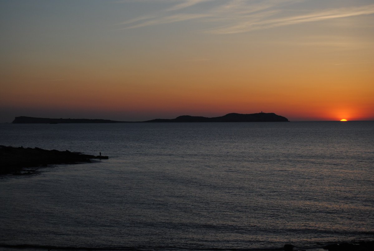 Ibiza Digital Sunset tweet media