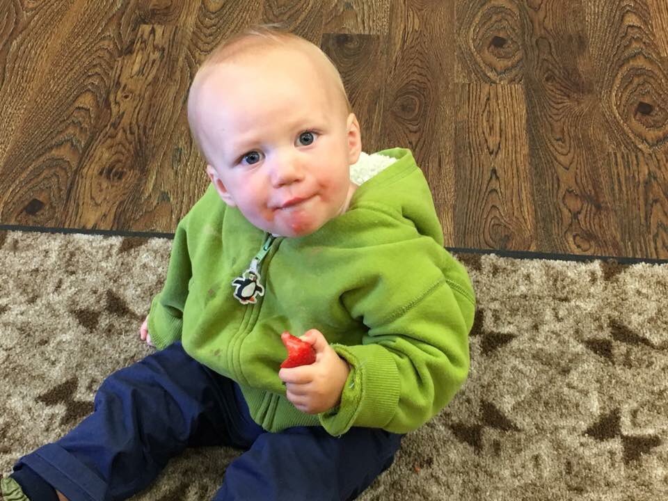 All that shopping made him hungry! #organicstrawberry #healthybaby #fruit