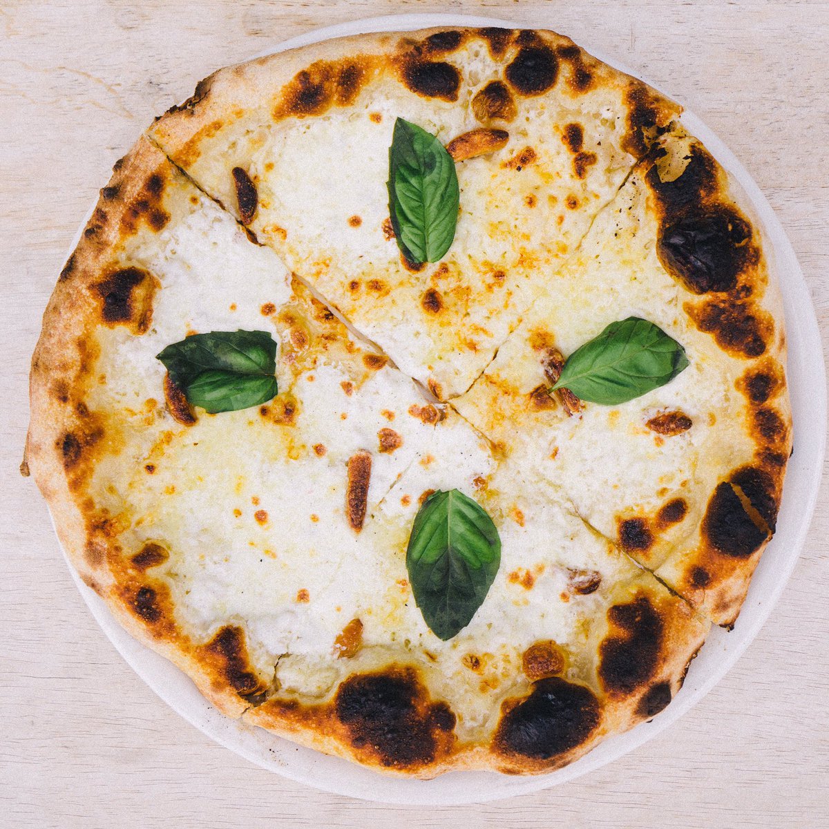 Sugo Osteria tweet media