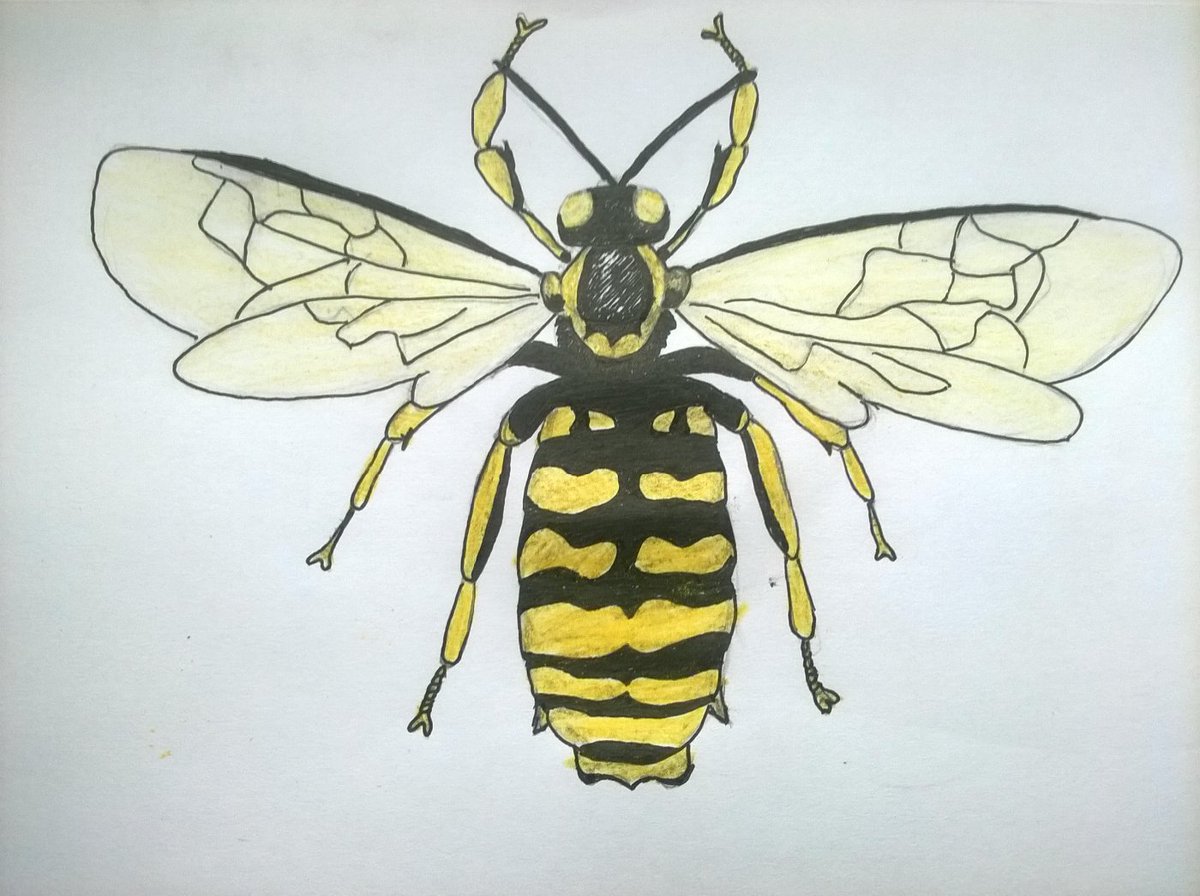 🐝🌻