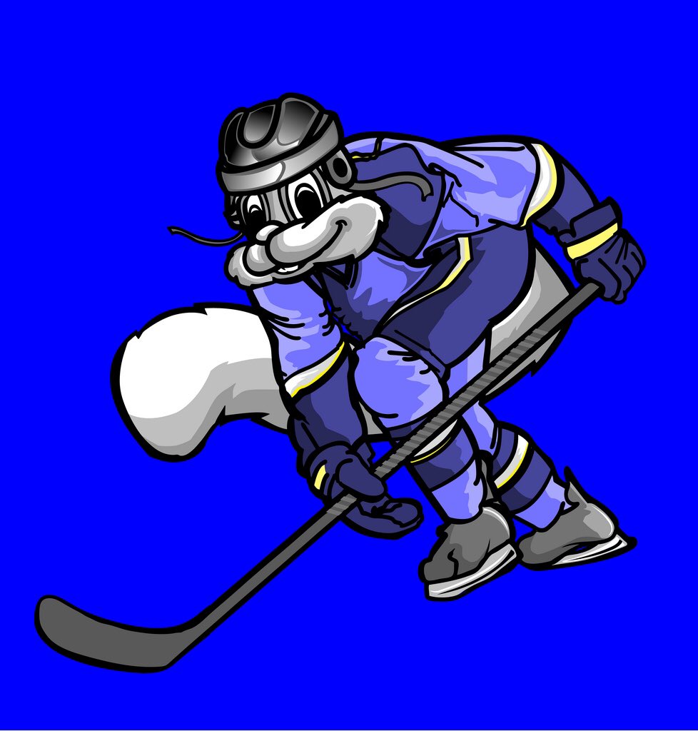 7thManSabres's tweet image. It's time to meet Randy the Rally Squirrel! Let's Go @StLouisBlues #WeAllBleedBlue @16_Bit_Legends #SquirrelMagic