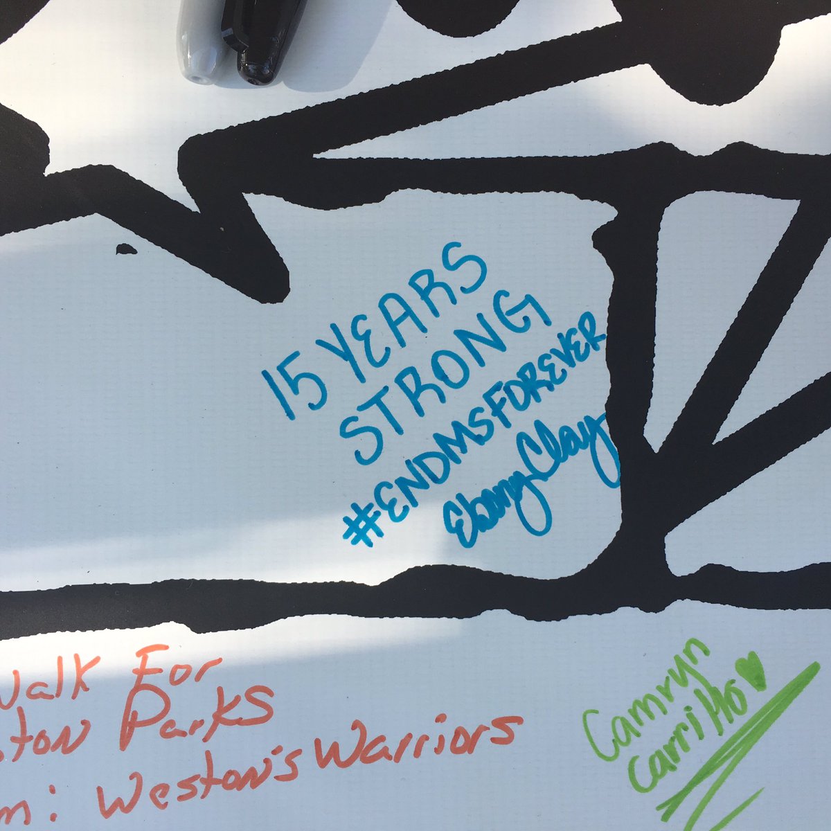 WalkMSTeamClay's tweet photo. #15YearsSTRONG #WalkMS2016 #WalkMSTeamClay #MSSociety #MSAwareness #EndMSforever #ThePOWERofOurCONNECTION https://t.co/zXKXO1NmAu