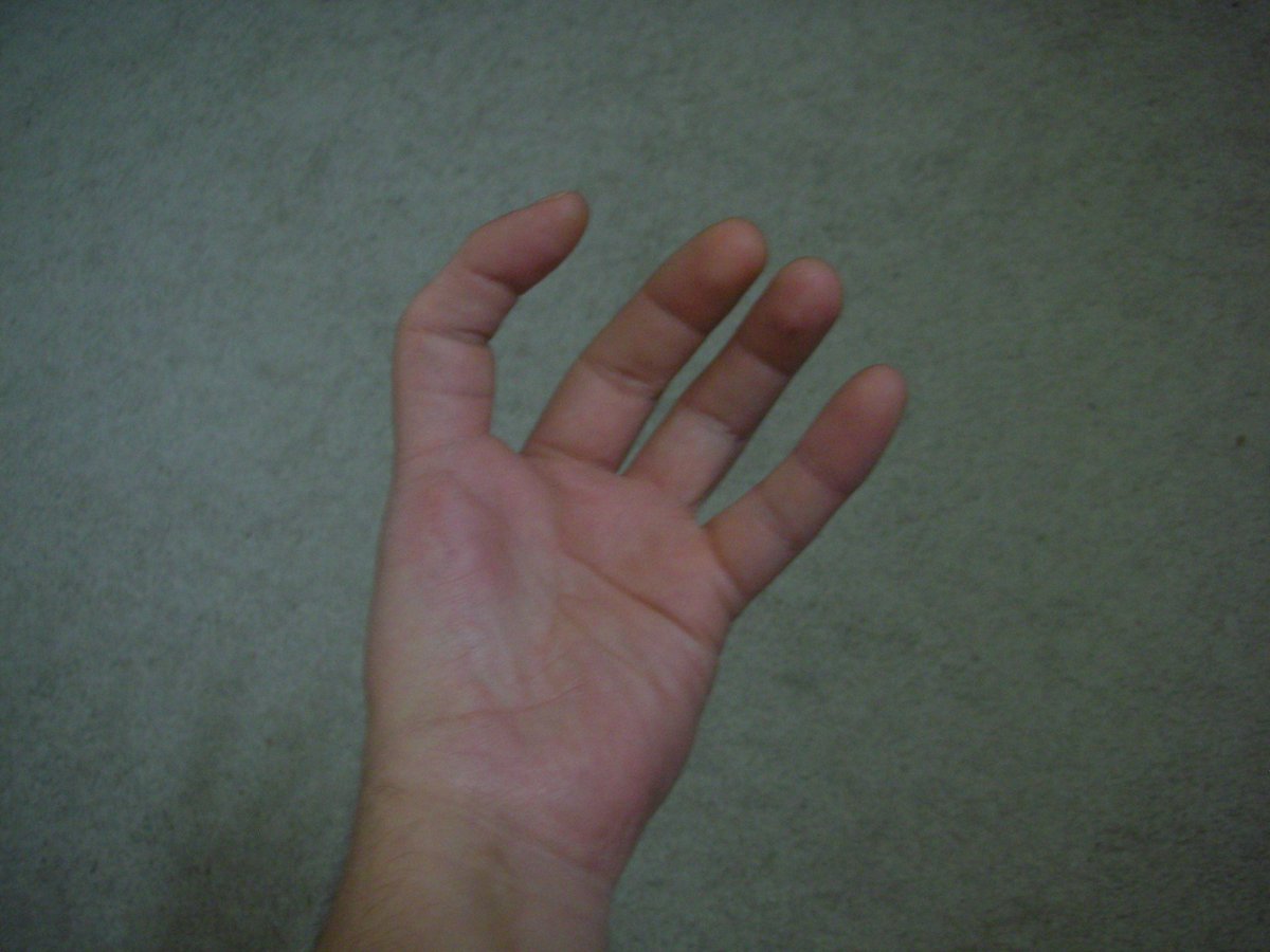 Ridd97x tweet picture