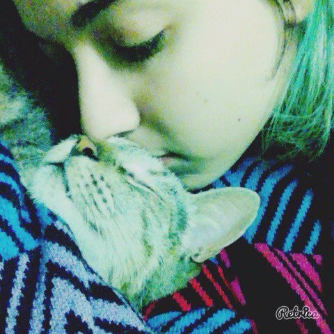 AnabelSantilli2's tweet photo. #GatoConEstilo https://t.co/3gvj34nAcN