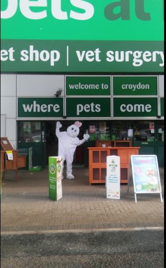 Can you guess the name of our mascot rabbit ? <a href="/PetsatHome/">Pets at Home</a>