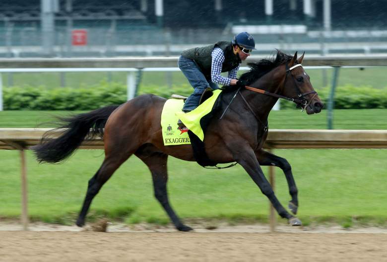 Ravin714's tweet photo. Congratulations #Exagerator!!!!
#Preakness2016 https://t.co/F6BQNyUvZT