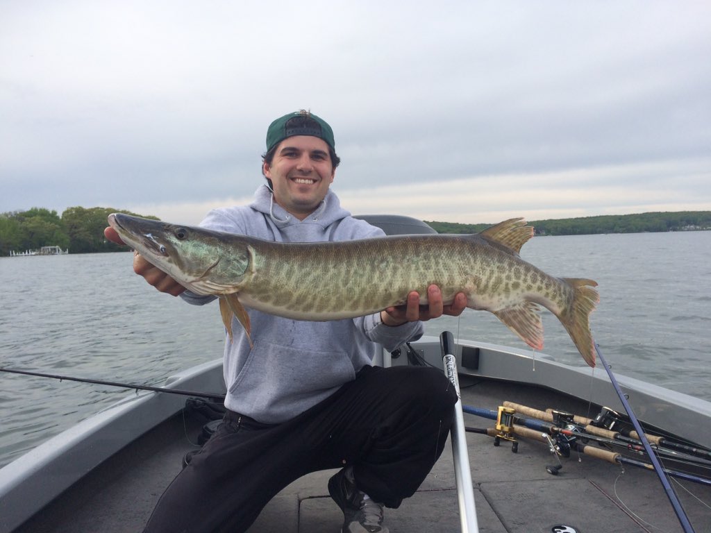 MuddyAdventure's tweet photo. 6 fish night last night. That makes it 8 fish boated in the first 2 weeks. #MuddiesMuskies https://t.co/voZWIEchyT