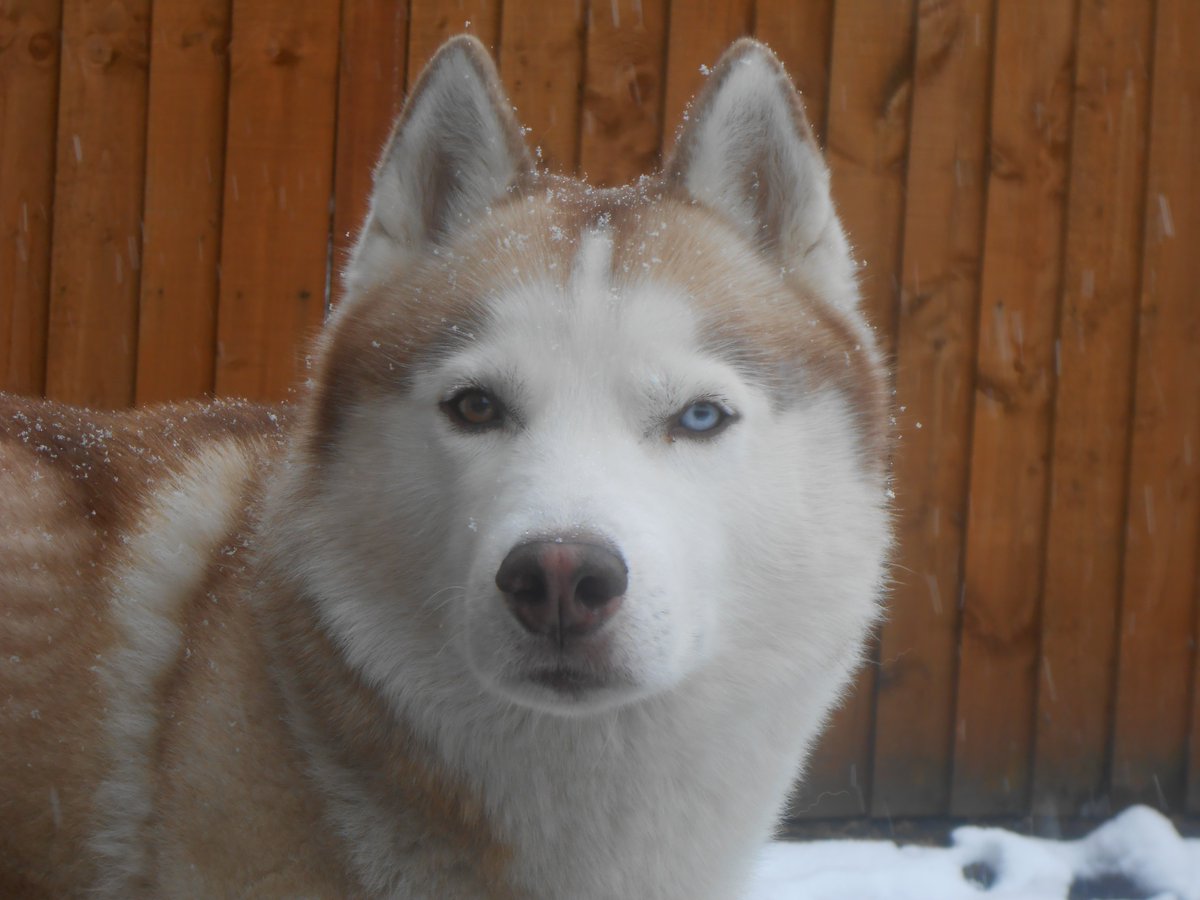 Lunar #AmazonPets