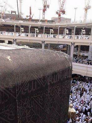 God_Equals_Sant's tweet image. #MuslimBecause Pigeons enjoy defecating on the Kaaba