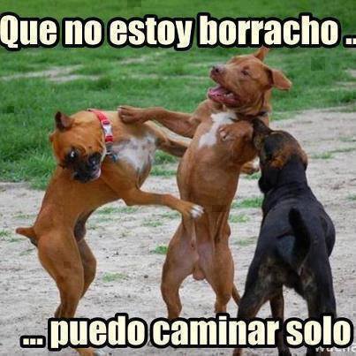 PicoteElPerro's tweet photo. Yo todos los viernes #YourBoyPicote https://t.co/VVtZhcbk38