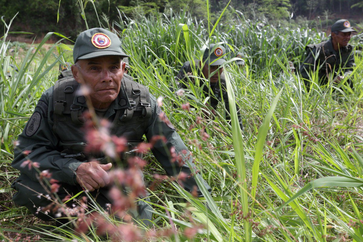 Noticias en general de la FANB - Página 9 CjBKkIXXAAA5M_t