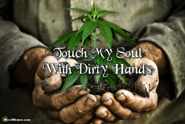 GValleyWellness's tweet photo. TYSM 4 #TwitterLove @BreakingDabsCrw @StrainSpot @Chalicefarms @420businessclub @PharmtoTableOR #staylifted #OMMP https://t.co/tX11aovBEz