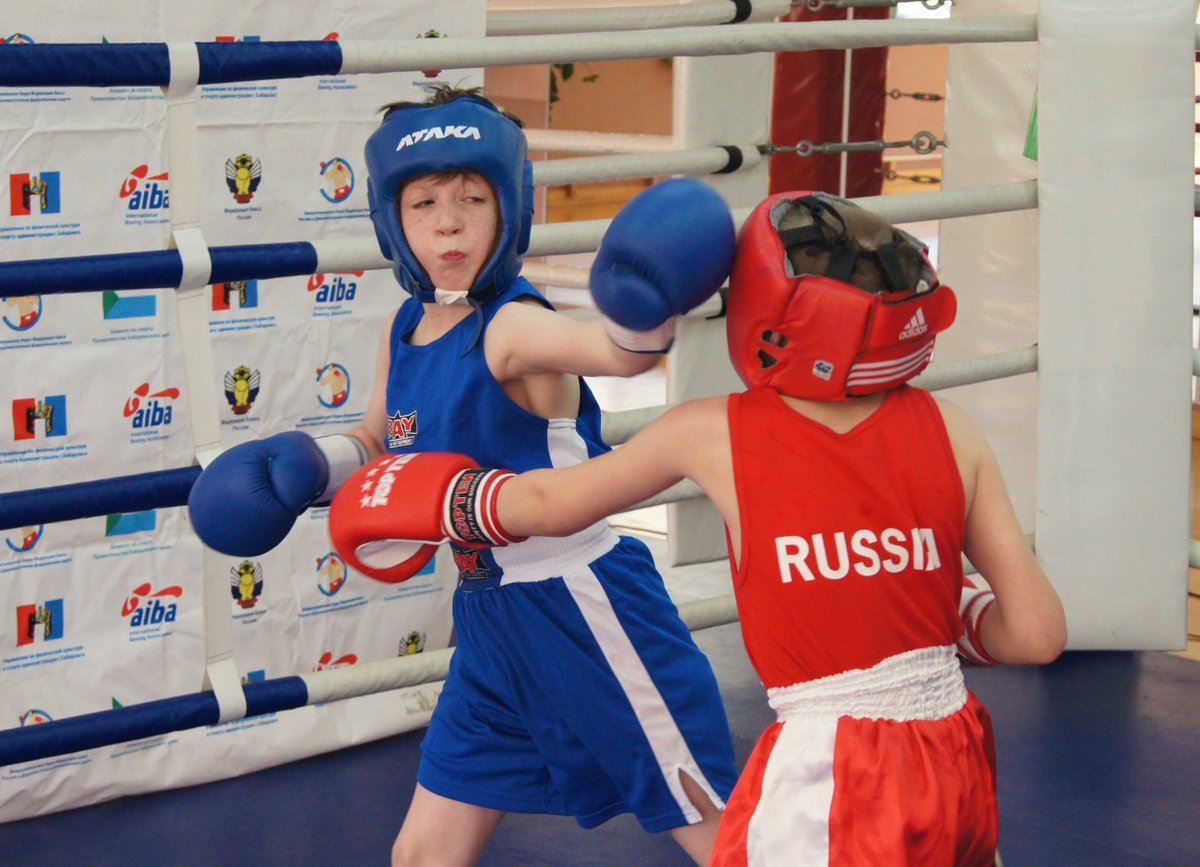 Юные армейцы набоксировали на 11 медалей в Хабаровске tinyurl.com/hq5sw8f #новости #спорт #бокс #цска #хабаровск