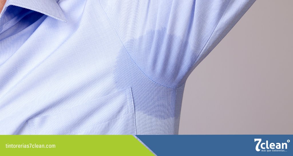 7_clean's tweet photo. La manchas  de sudor en puedes limpiar con  una esponja y vinagre blanco para limpiar el área manchada.
#tips7clean https://t.co/mM5qCZRDZD