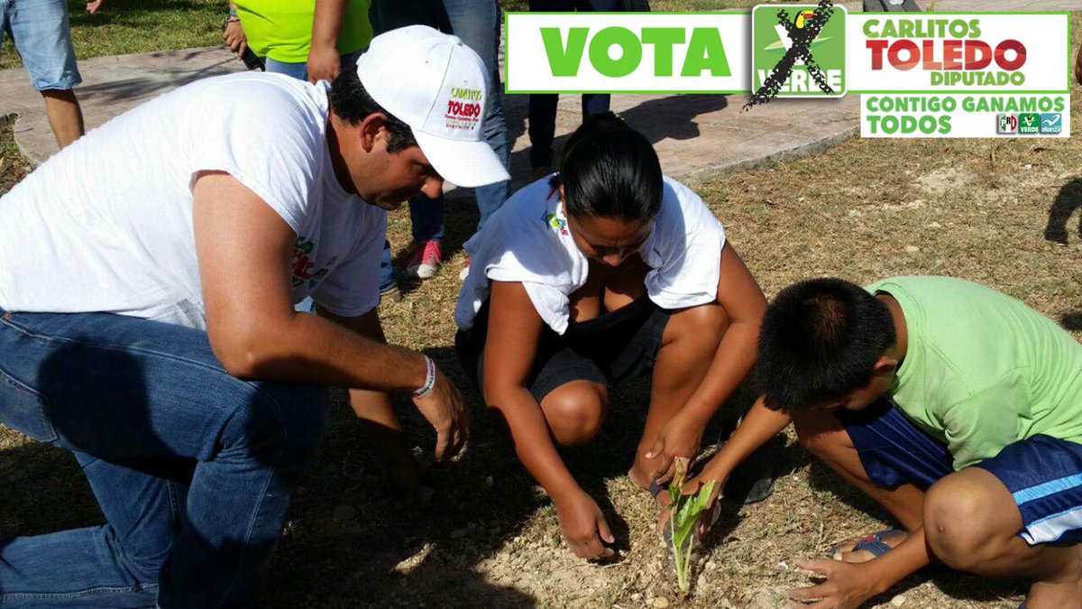 emiliotamargo's tweet image. Sembramos una vida para el futuro de nuestros niños. Vota el 5 de junio #VOTAxCarlitosToledo @CarlosToledoM