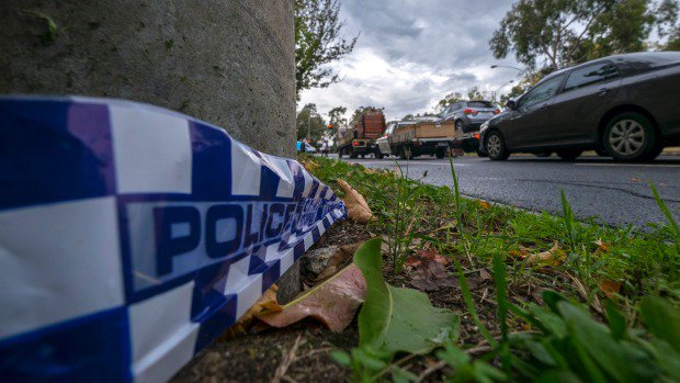 Melbourne Express tweet media