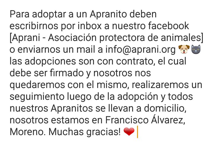 ayudandoaaprani's tweet photo. #FinDeSemanaDeBuscarAdoptantes MARTINA tiene 6 años, es mediana y mimosa, se lleva bien con otros 🐶 💕 @DaniAmbrosino https://t.co/QXChuWKo67