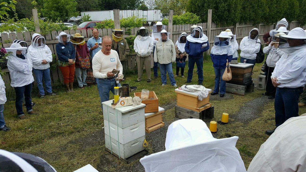 qrcltd's tweet image. Denzil teaching at the GCBA field day. #beekeeping #beeknowledge #queenrightcolonies #hives
