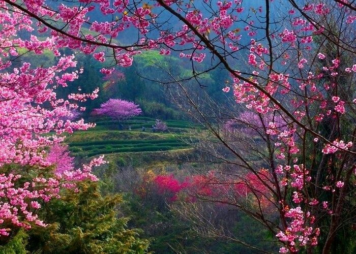 pic_oso's tweet photo. https://t.co/JGY0ZeUV3F