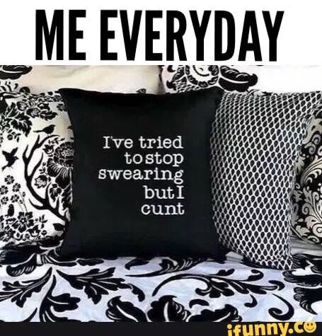 cbnsmrf's tweet photo. @Aalston79 omg lmao https://t.co/q7AZFbo6rA